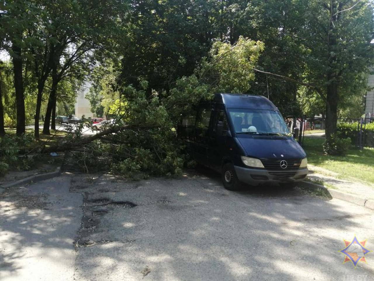 Только в Гродно упали семь деревьев: гродненские спасатели подвели «итоги» грозового фронта, который прошел через регион