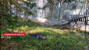 На белорусско-польской границе под Свислочью обнаружили еще одного мертвого иностранца
