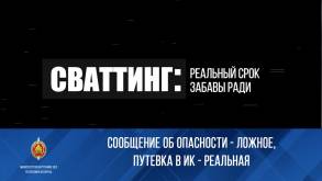 В МВД предупредили подростков и их родителей: за сваттинг в Беларуси можно отправиться в колонию