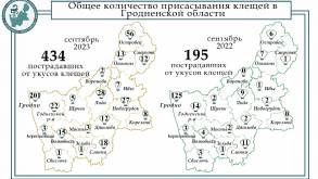 Это рекорд: в сентябре 434 жителя Гродненской области обратились к врачам после укусов клещей