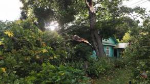 В Гродненской области ликвидированы последствия урагана – в 275 деревнях временно отсутствовало электроснабжение