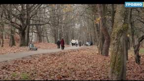 Румлевский парк в Гродно ждут изменения