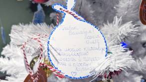 В магазинах OZ Гродно появились «Ёлки желаний» для исполнения новогодних мечт детей с онкологией