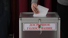 В Беларуси успели проголосовать более трети избирателей