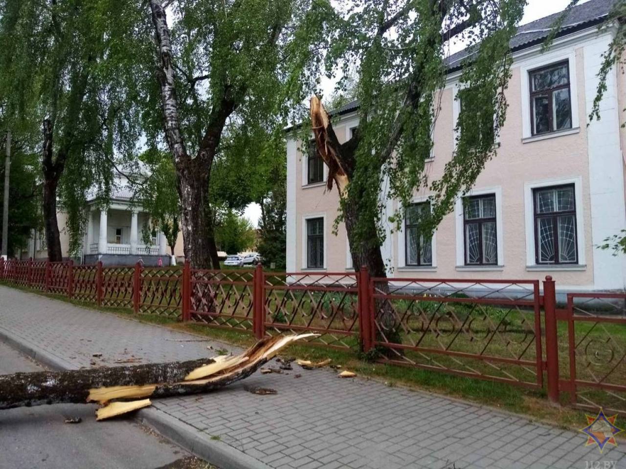 В Гродно дерево рухнуло во дворе многоэтажки, а в Волковыске зацепило  машину: в МЧС показали последствия субботнего сильного ветра — Блог Гродно  s13