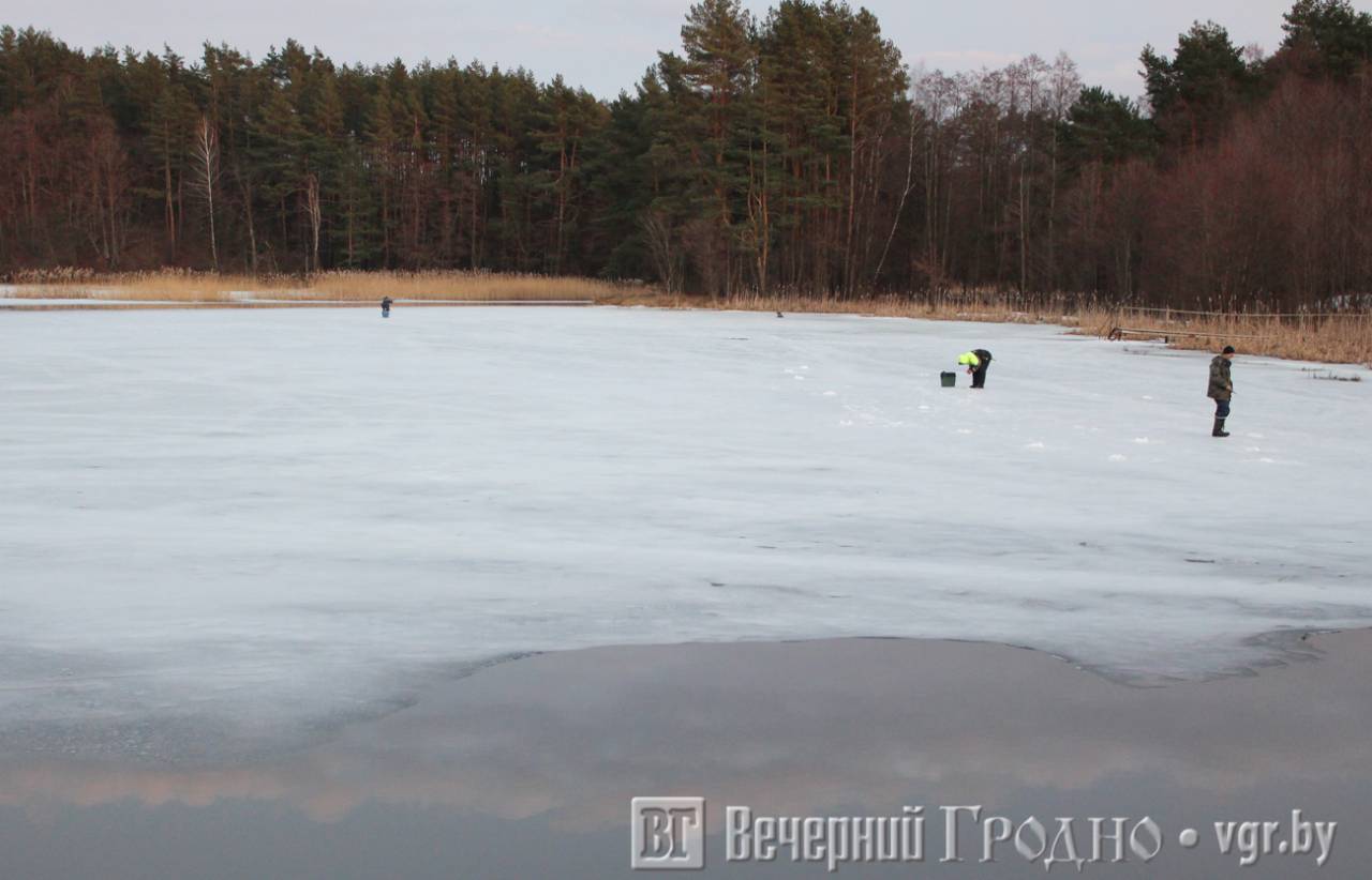 На озерах Гродно тонкий лед — выходить на него опасно