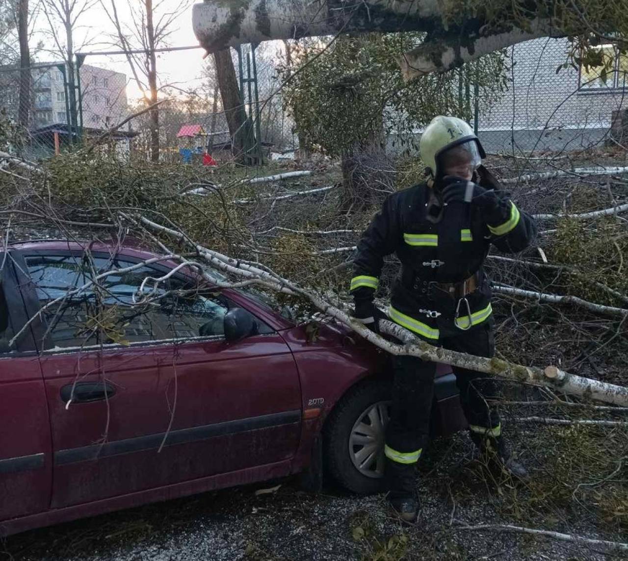 Пострадали практически все районы Гродненской области: В МЧС подвели итоги разрушений, которые принес сильный ветер