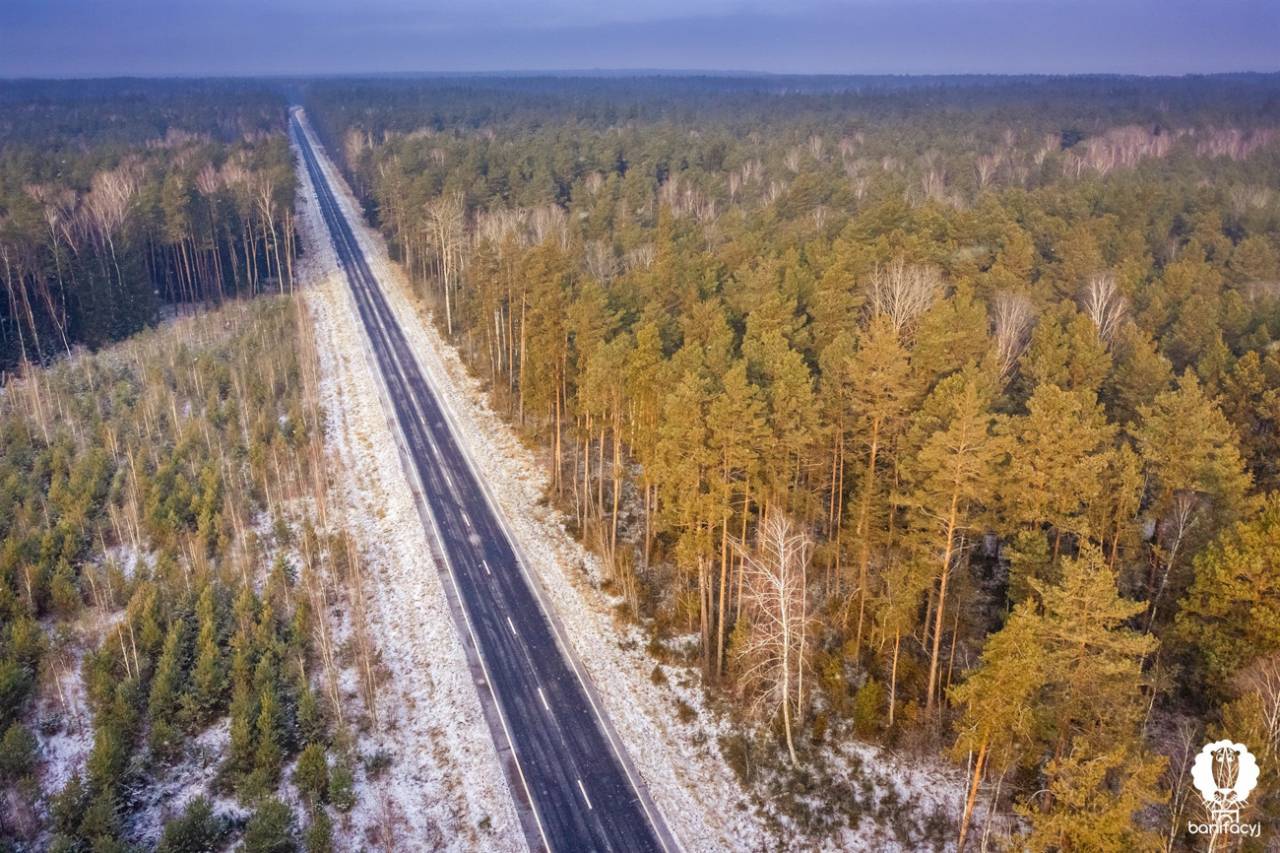 Зубры, снег и бескрайние леса – смотрите зимние фото Беловежской пущи