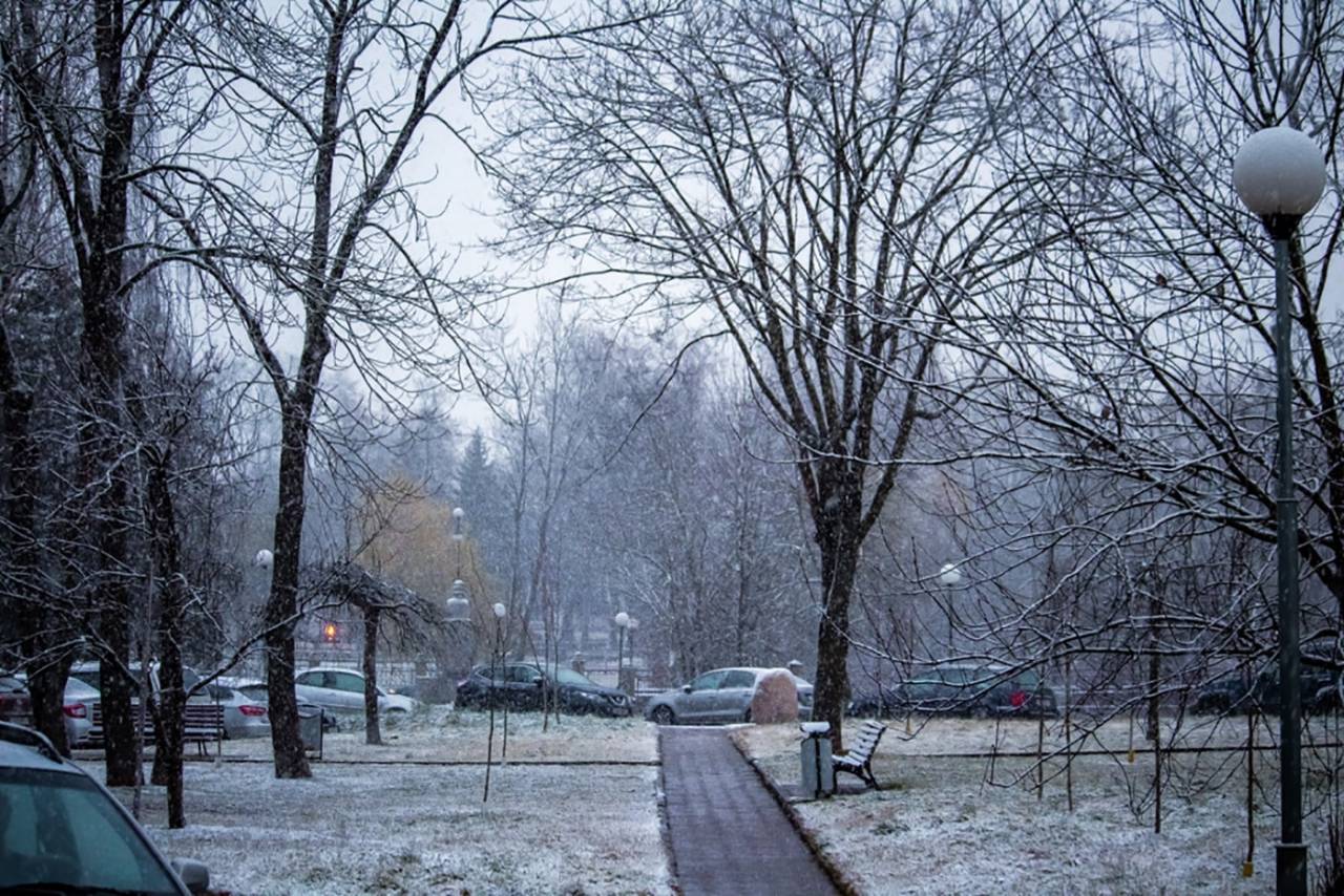 Ветер и мокрый снег, но на термометре плюс – погода в Гродно на выходные