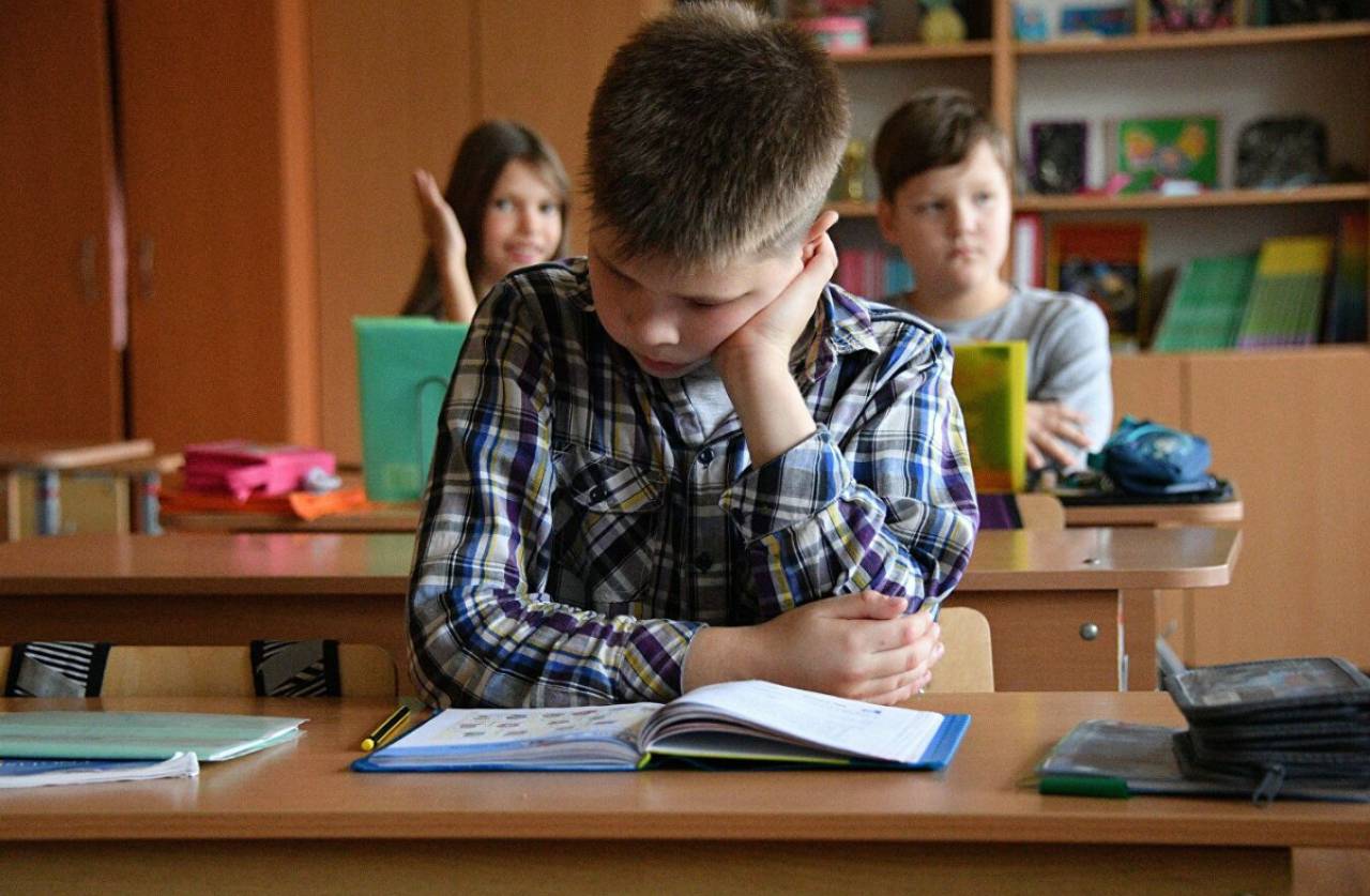 Учиться до 11 класса: Ливянт прокомментировал новый Кодекс об образовании