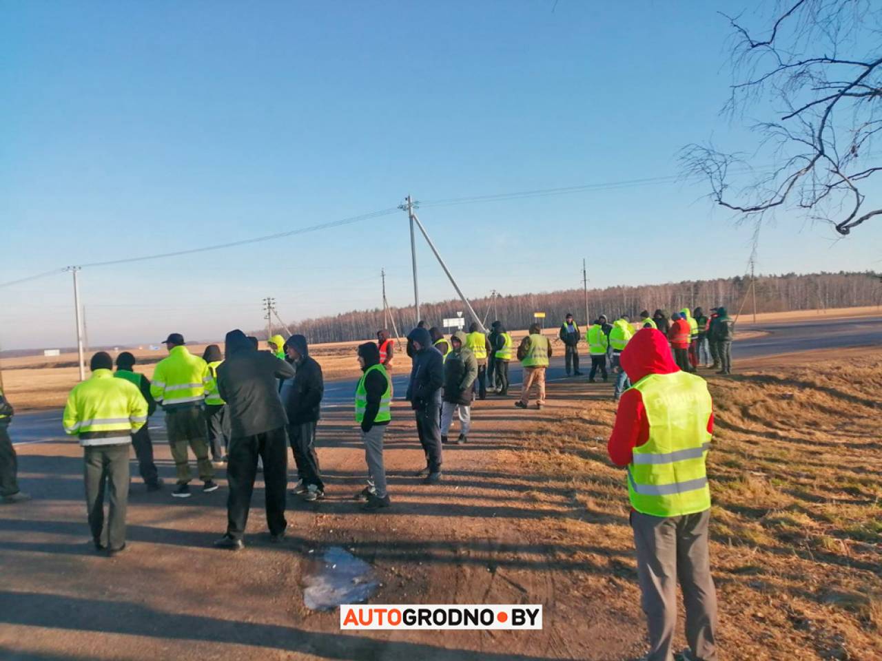 Госпогранкомитет Беларуси прокомментировал ситуацию на границе в «Берестовице»