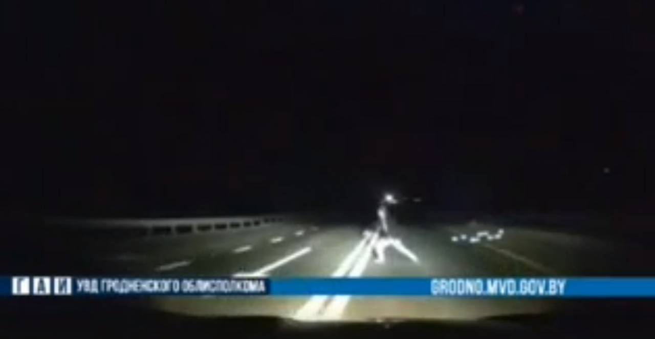Видео: Под Сморгонью на трассе М7 авто в темноте сбило пешехода, который с поднятыми руками стоял посреди дороги