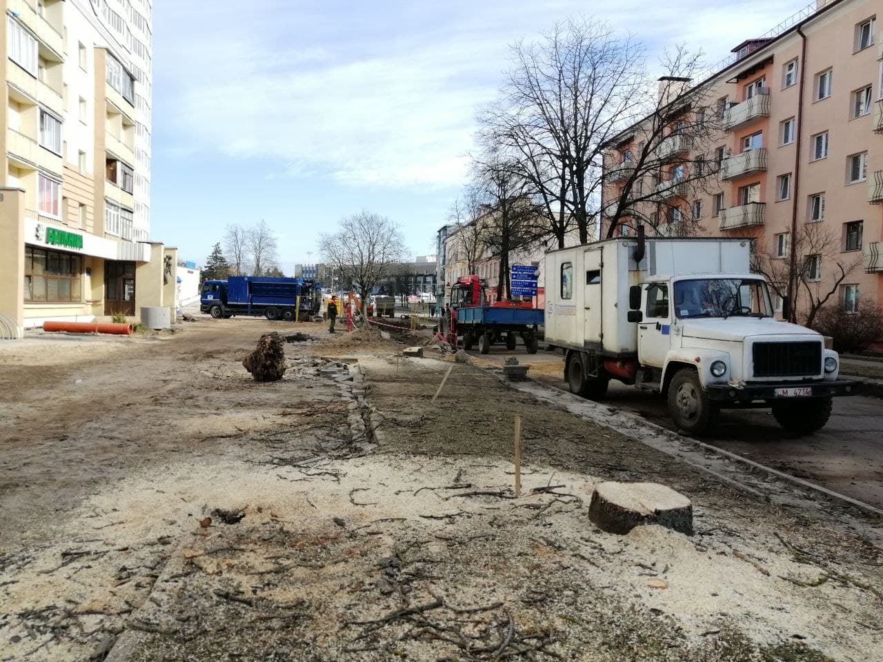 В рамках реконструкции улица Ожешко в Гродно лишается своих каштанов