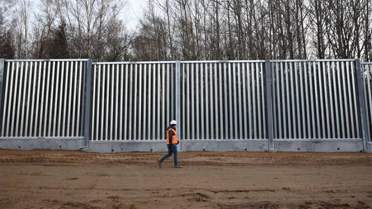 Польша начала строительство пограничного забора на территории Беловежской пущи: экозащитники выступают против