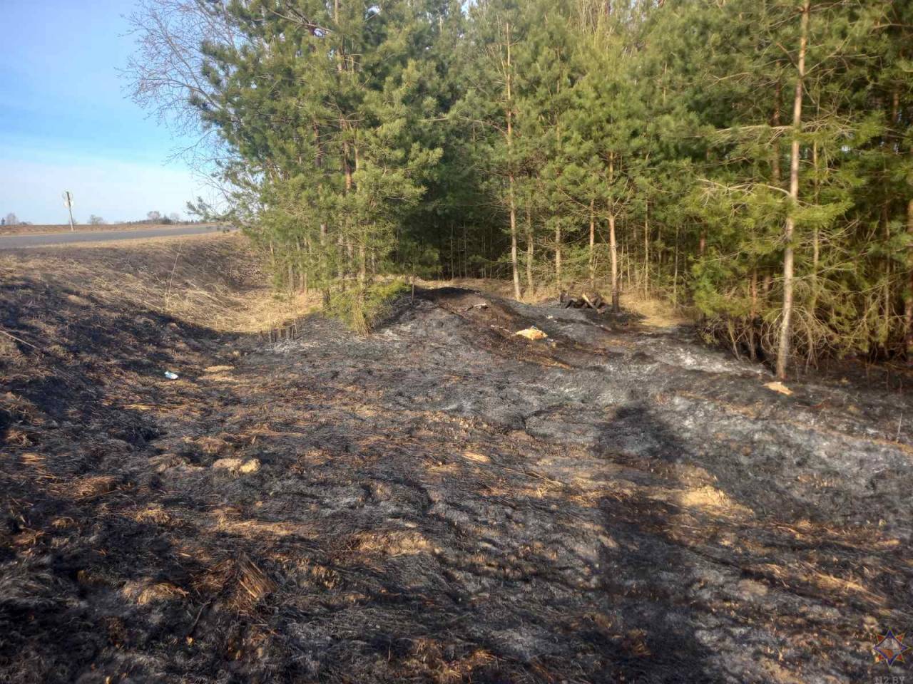 В Гродненской области за сутки при пожарах погибли два человека: один в поле, второй - в доме