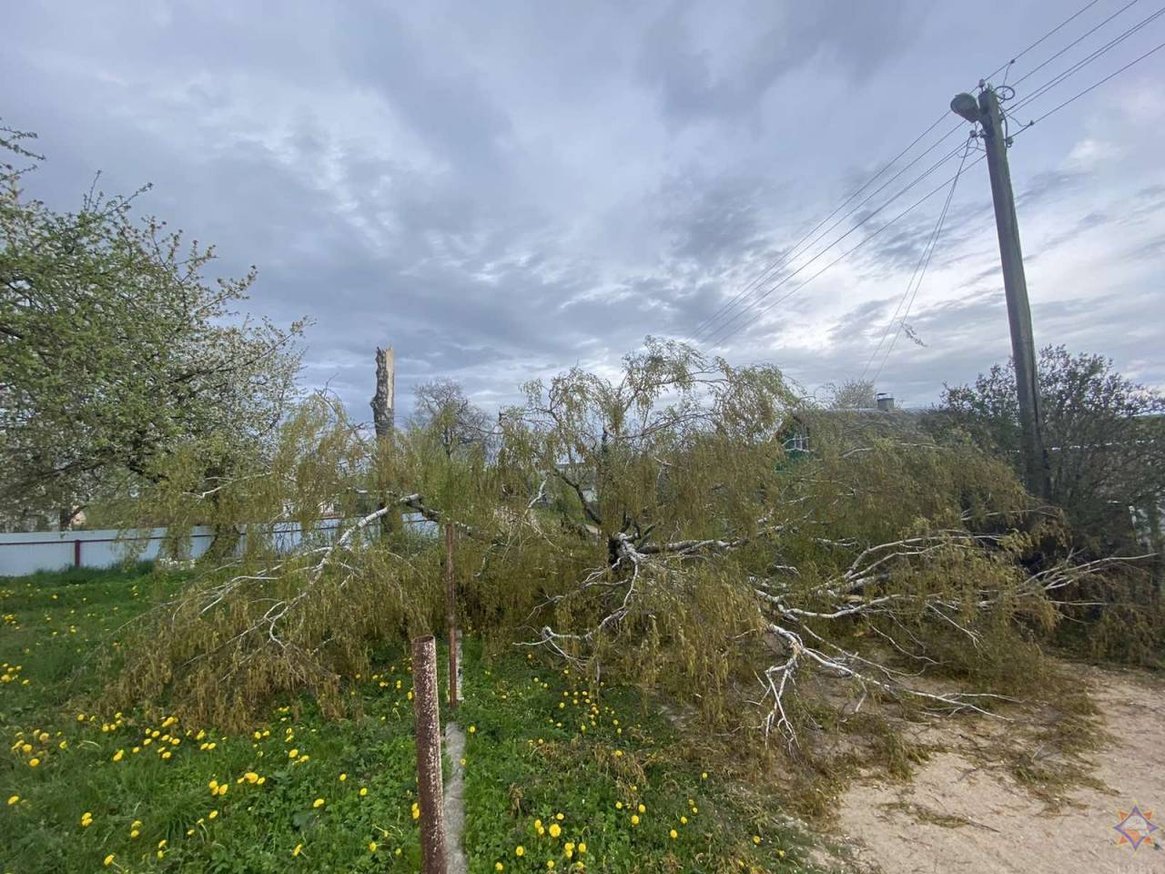Фотофакт: Последствия сильного ветра в Гродненской области