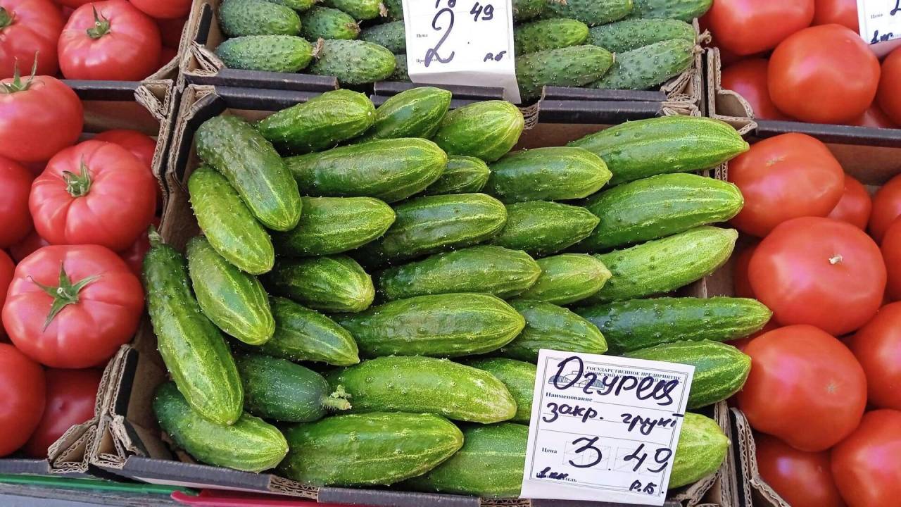 «Разбежка в цене колоссальная»: профсоюзы выступили за справедливые цены на огурцы и другие овощи