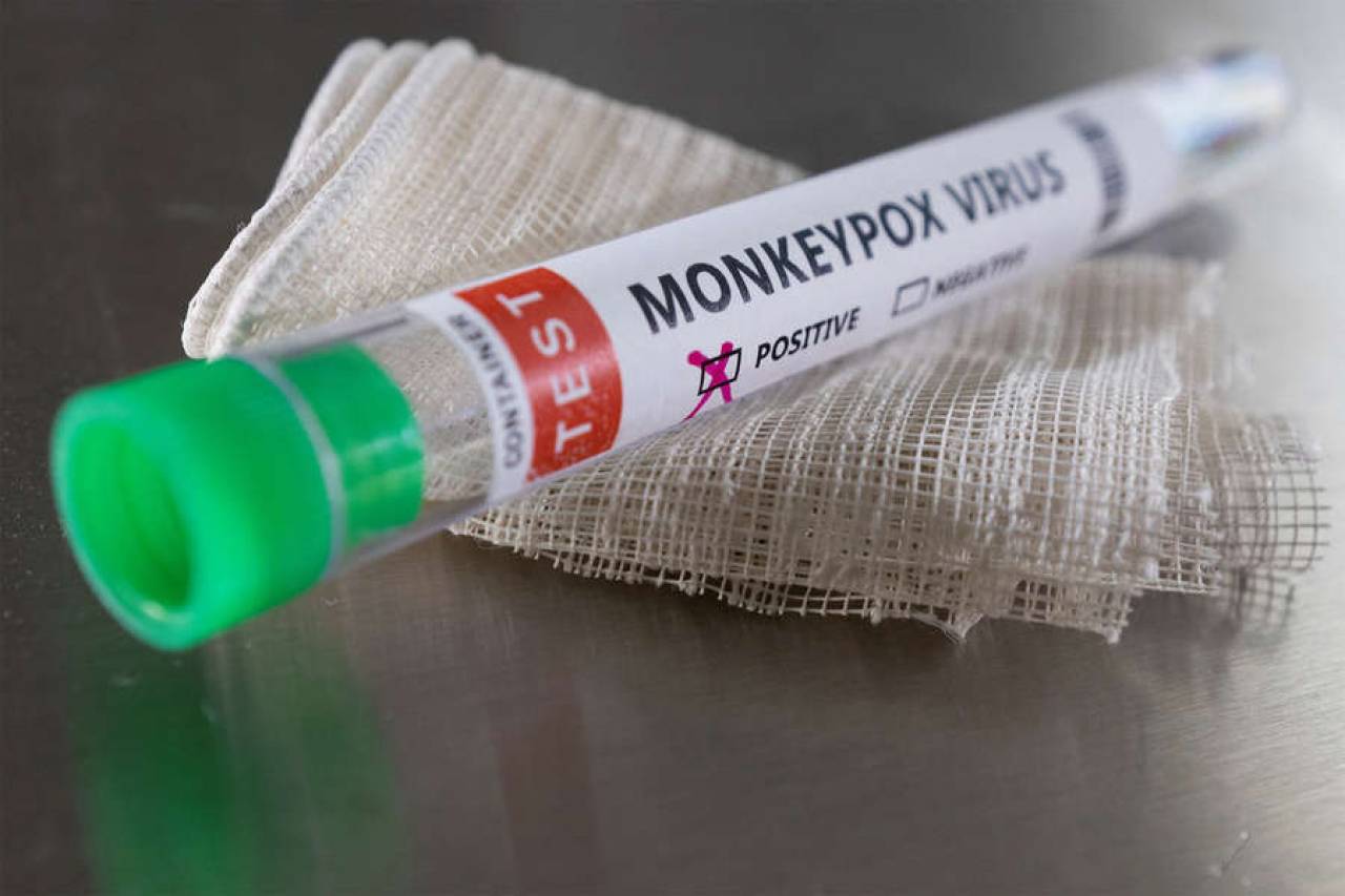 В Польше подтвердили первый случай оспы обезьян