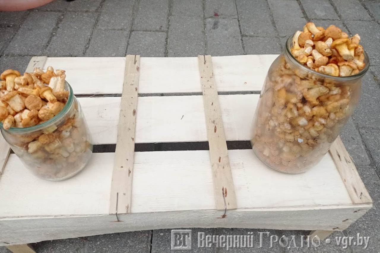 Фотофакт: на Скидельском рынке появились первые грибы — смотрите, сколько они стоят