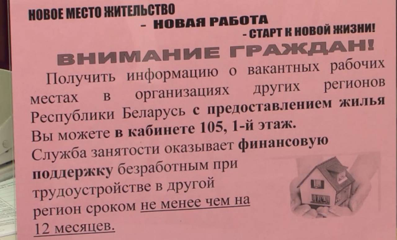 12,4 тыс. вакансий в Гродненской области и всего полтора месяца без работы: В Минтруда рассказали о дефиците работников