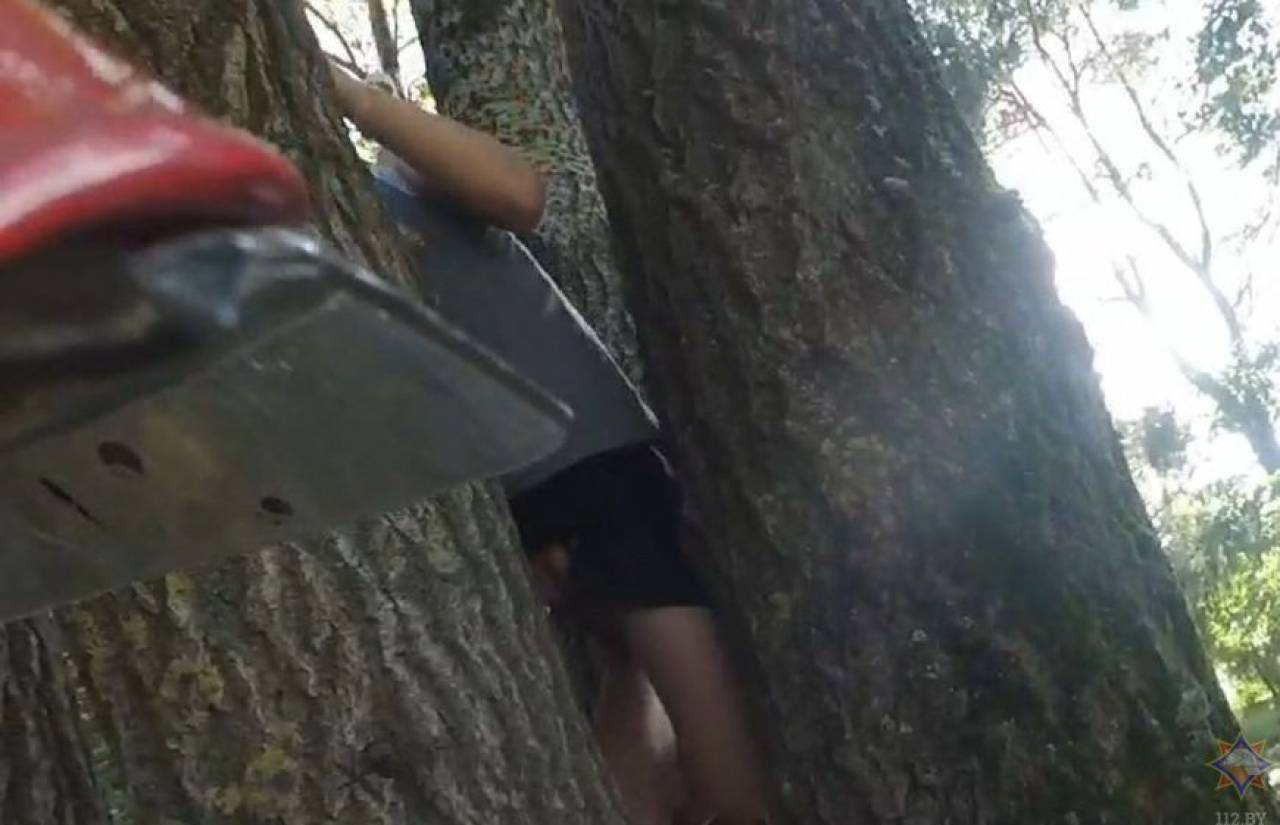 На Ольшанке в Гродно мальчишка застрял на дереве: ему помогли спасатели