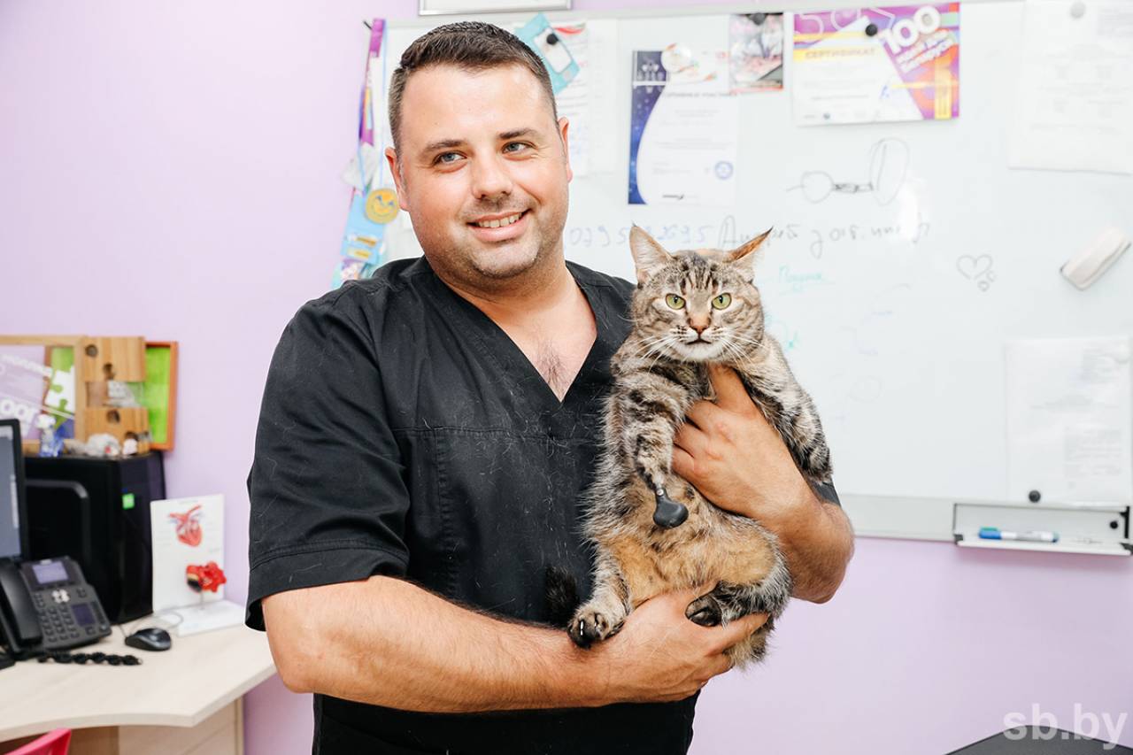 Ветврач из Лиды, который первым в Беларуси освоил бионическое протезирование животных, взялся за новый социальный проект