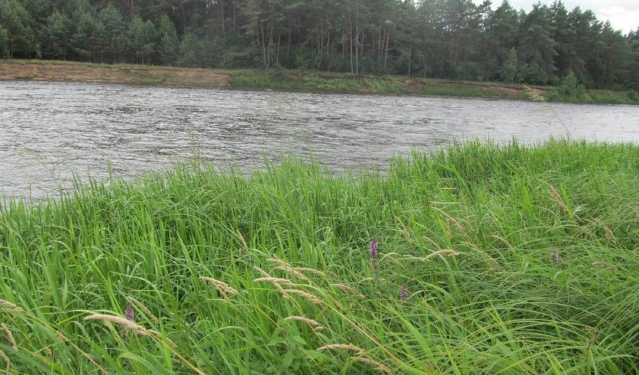 Жара и алкоголь: пять человек утонули за выходные в Гродненской области