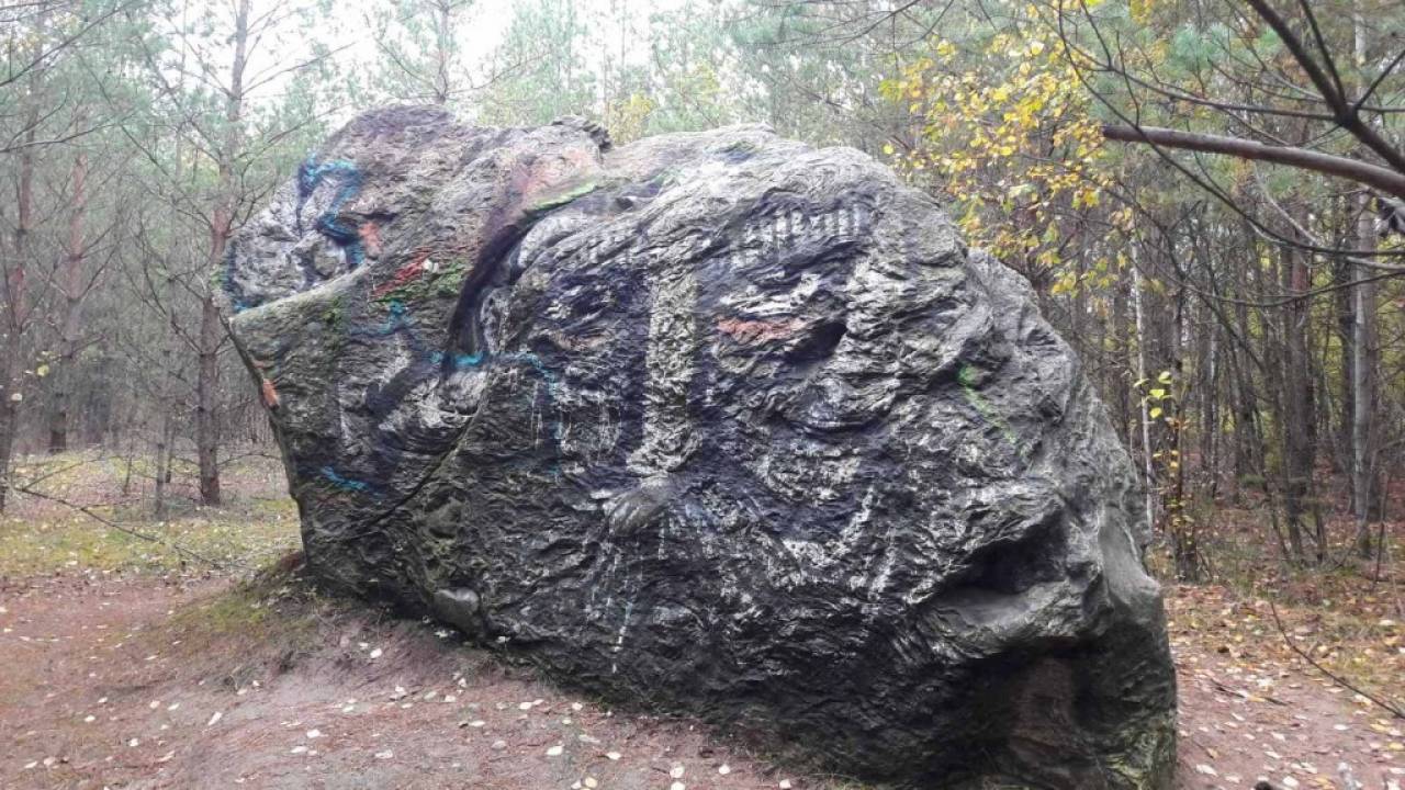 Порядка 10 объектов на территории Гродненского района могут войти в список особо охраняемых природных памятников