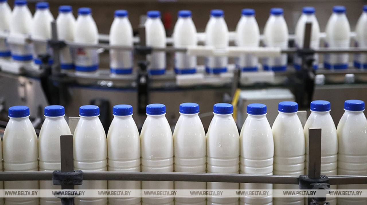Замминистра прокомментировал ситуацию с молоком в Беларуси