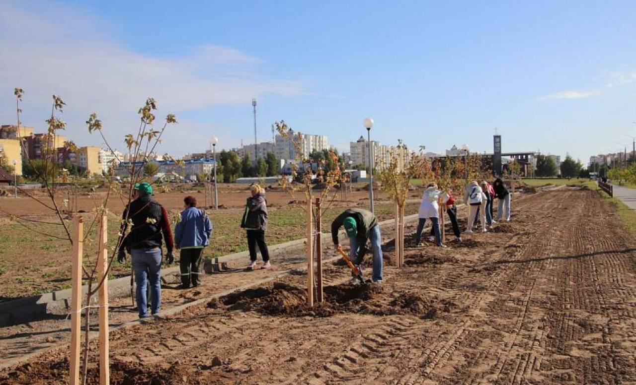 На Девятовке высадили первые 100 деревьев будущего парка — его обустройство планируют завершить в 2023 году