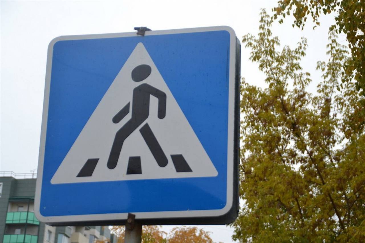 ГАИ Гродно проанализировала причины аварий с участием пешеходов — нарушения водителей последняя из них в «рейтинге»