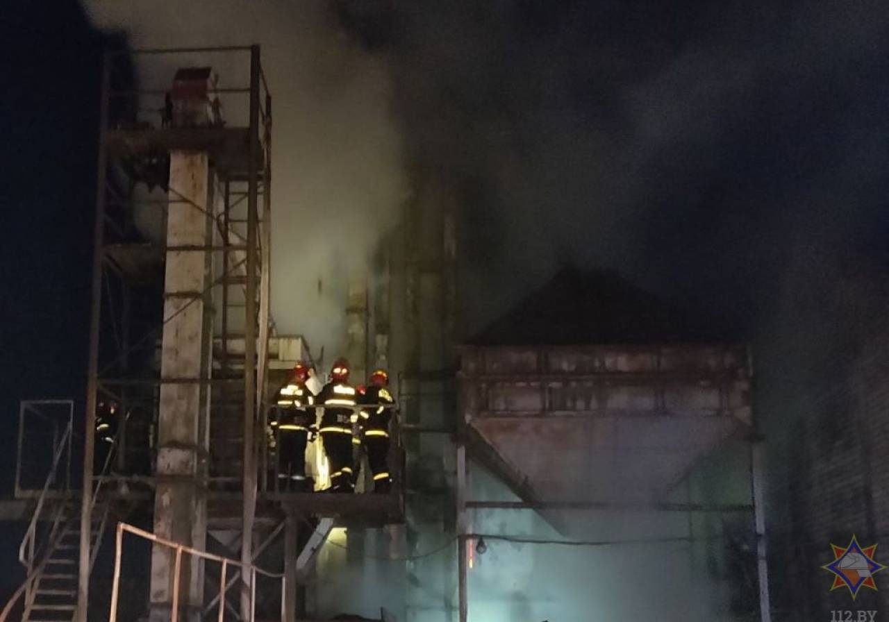 В Гродно ночью загорелся зерноочистительный комплекс — сгорело 5 тонн семечек