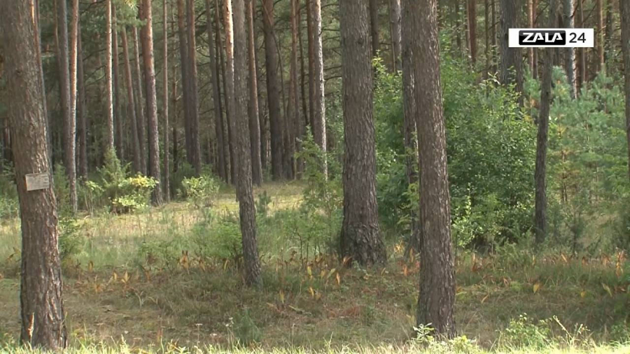 С начала года в Гродненской области без вести пропавшими считаются 12 человек