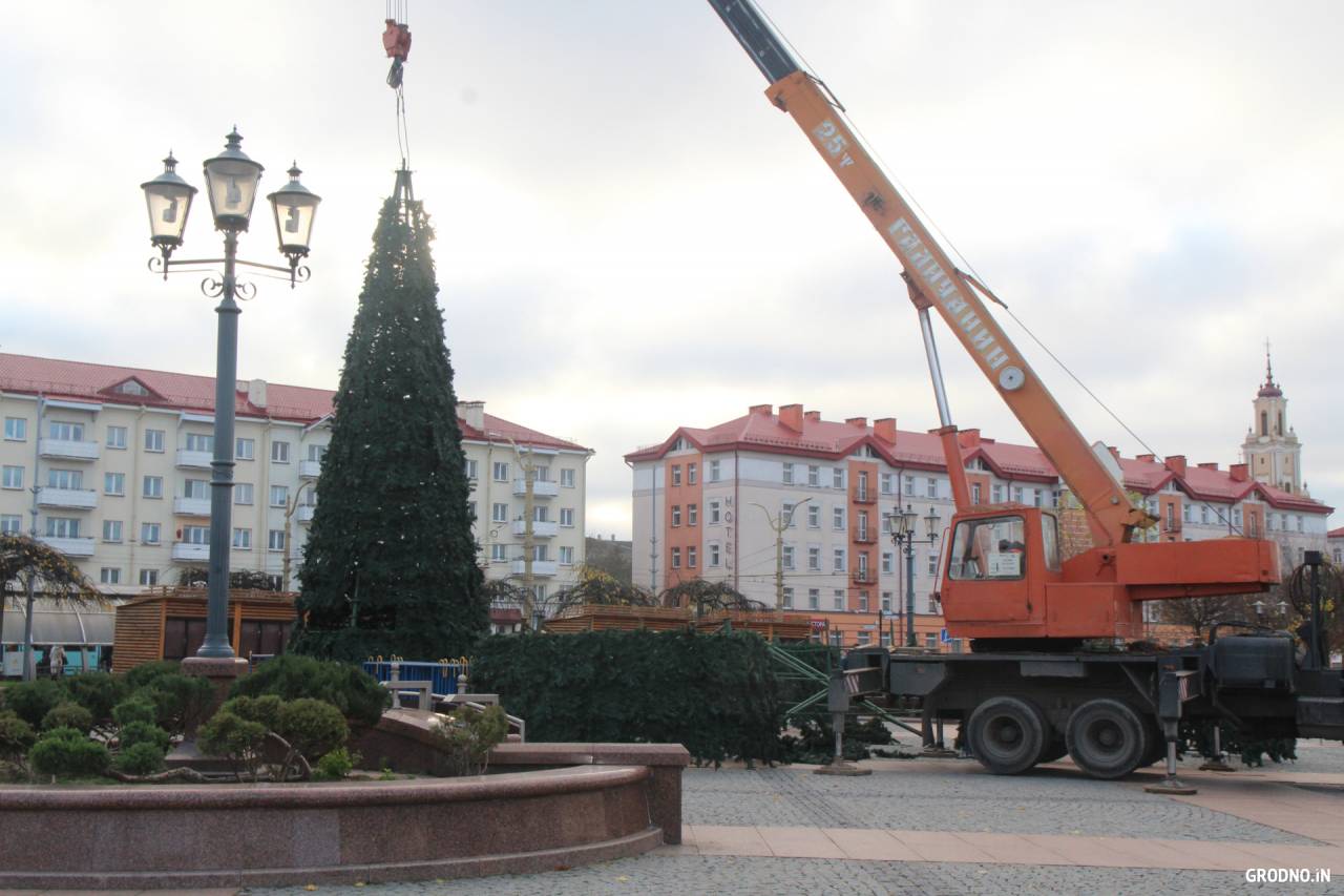 Фотофакт: на Советской площади в Гродно устанавливают новогоднюю елку