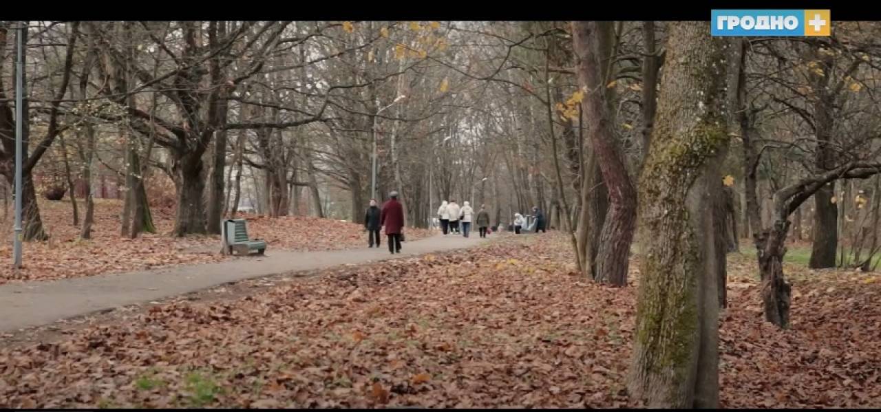 «Свидание с городом»: лесопарк Румлево в Гродно