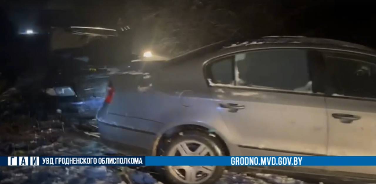 Под Гродно прямо на трассу упало дерево — разбиты два автомобиля