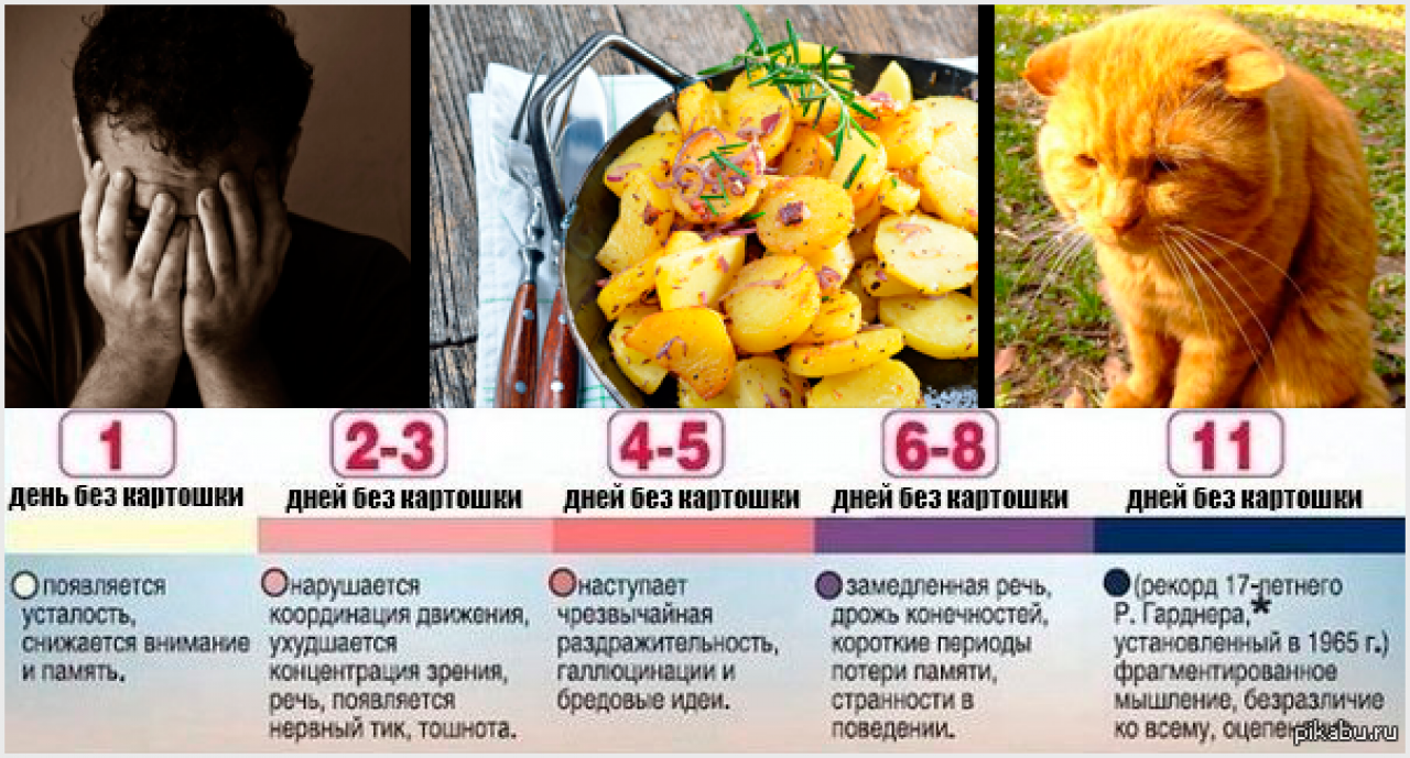 Белорусы едят больше всех картошки в мире