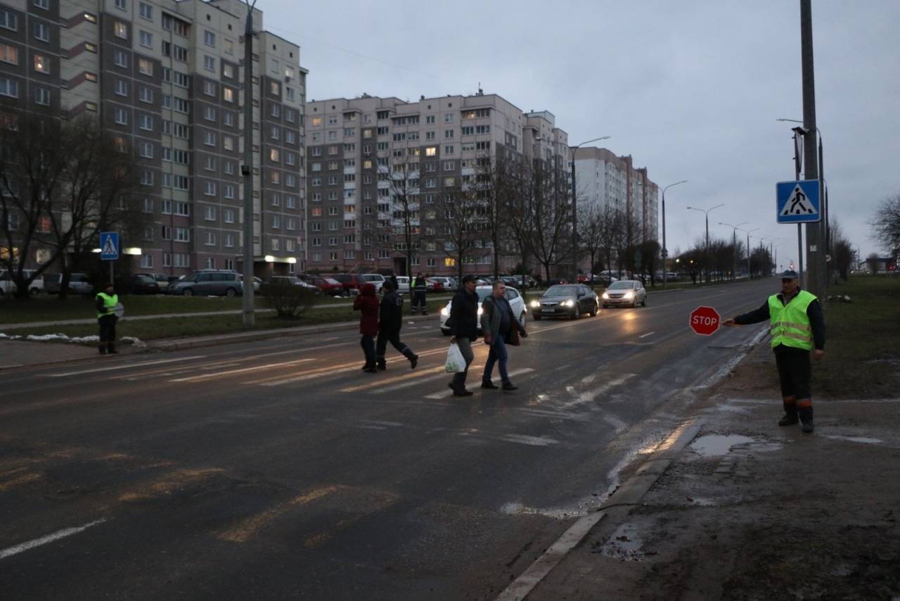 На дороги Гродно вместе с сотрудниками ГАИ вышли дружинники — дежурят на пешеходных переходах