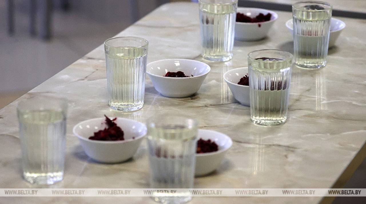 Белорусские учителя смогут питаться в школьных столовых, но обед посчитают с повышающим коэффициентом