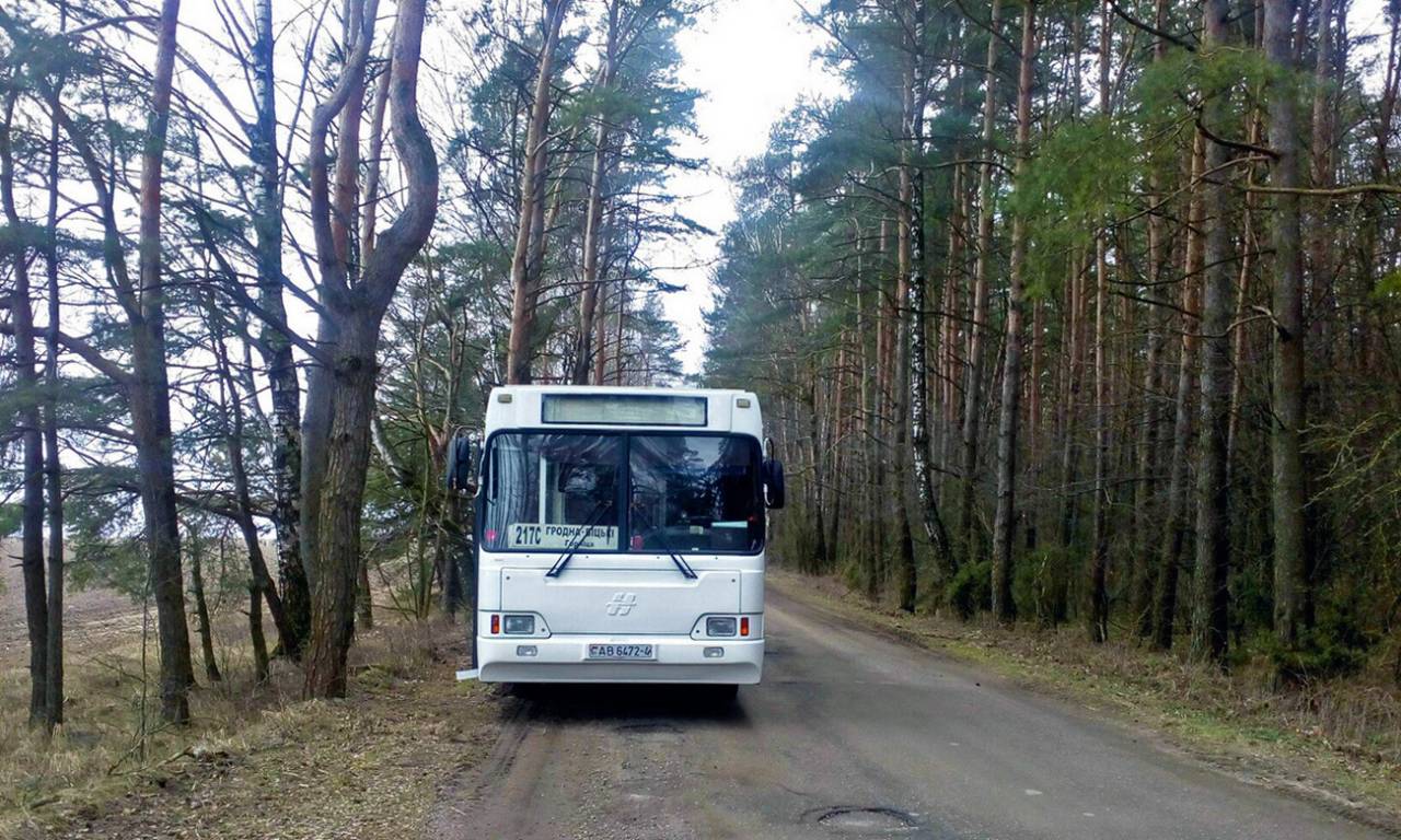 Во вторник из Гродно в пригород запустят дачные автобусы
