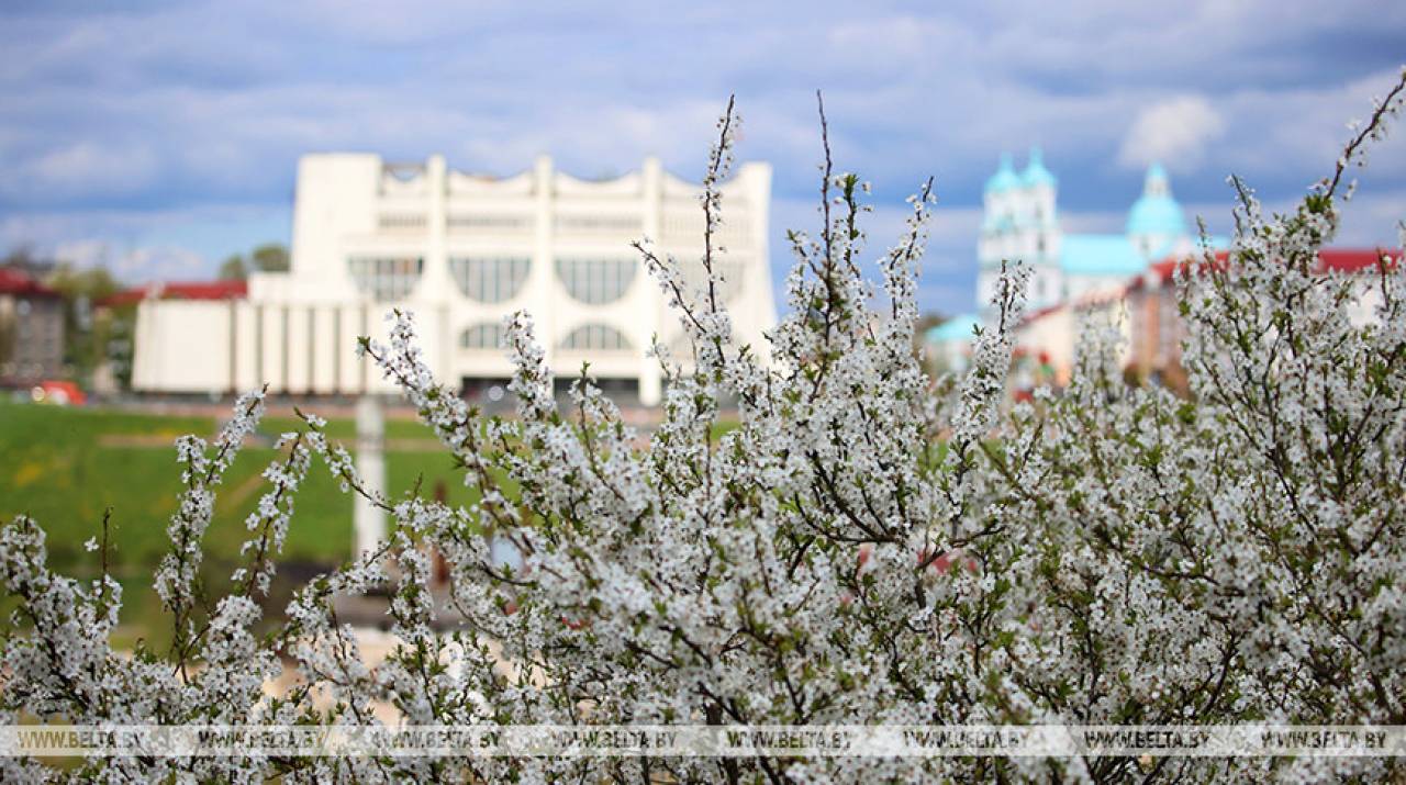 Большие выходные будут по-настоящему весенними: погода в Гродно