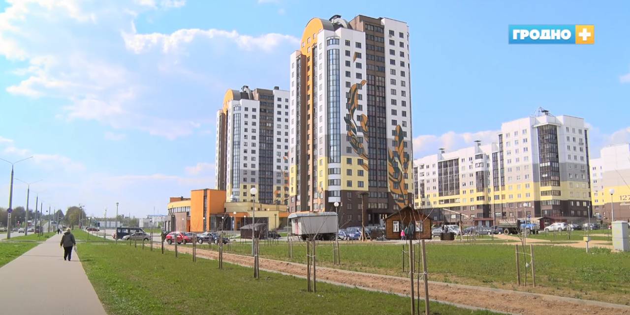 Новый парк на Девятовке в Гродно пополнился клёнами и туями
