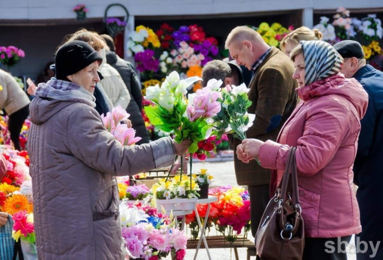 Обработаны анилиновыми красками: Минприроды просит белорусов не везти на кладбища цветы из пластика