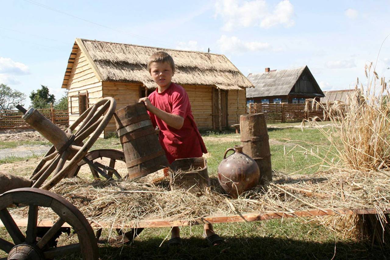 В Беларуси налоговая напомнила владельцам агроусадеб и ремесленникам об изменениях, которые введут для них с 1 июля