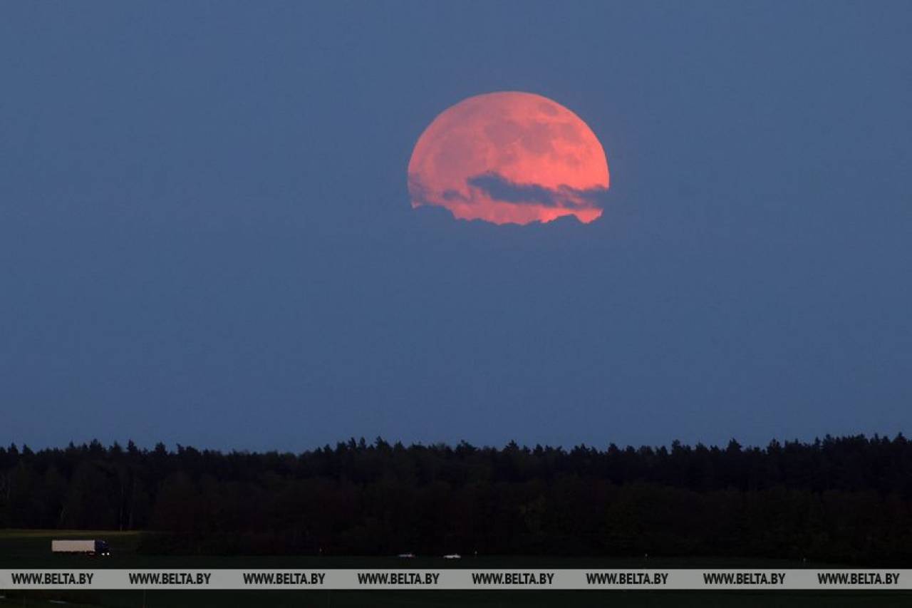 Если пропустили: Посмотрите на вчерашнее полутеневое затмение луны и цветочное полнолуние в Гродно