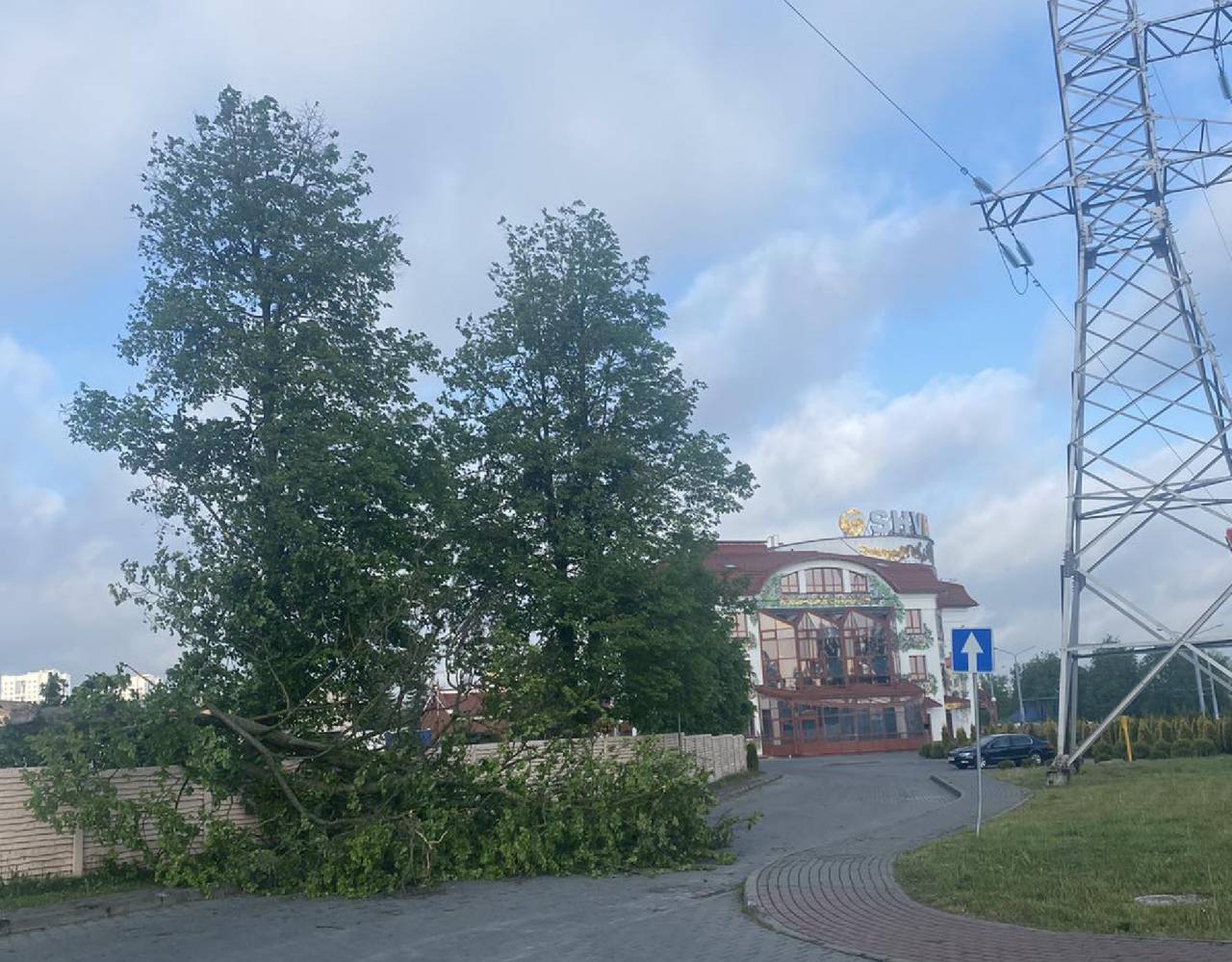 В МЧС показали последствия сильного ветра в Гродненской области