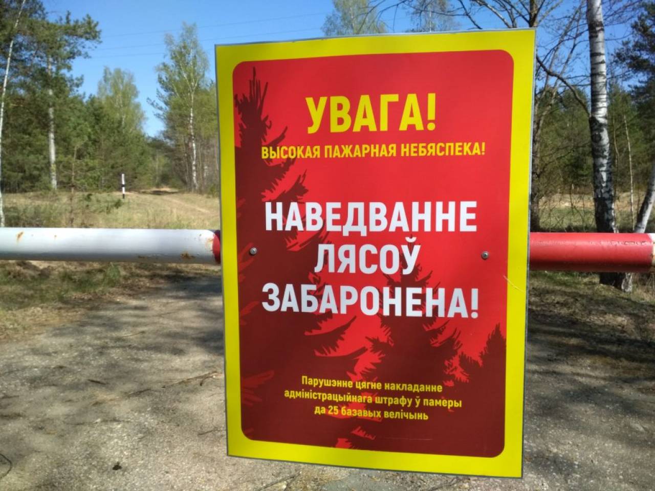 Вот и все: почти по всей Гродненской области посещение лесов строго запрещено