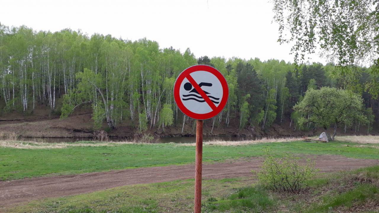 Ни в лес, ни на пляж: напоминаем, в Гродно не осталось ни одной зоны отдыха, где можно купаться, и на природу на пикник нельзя
