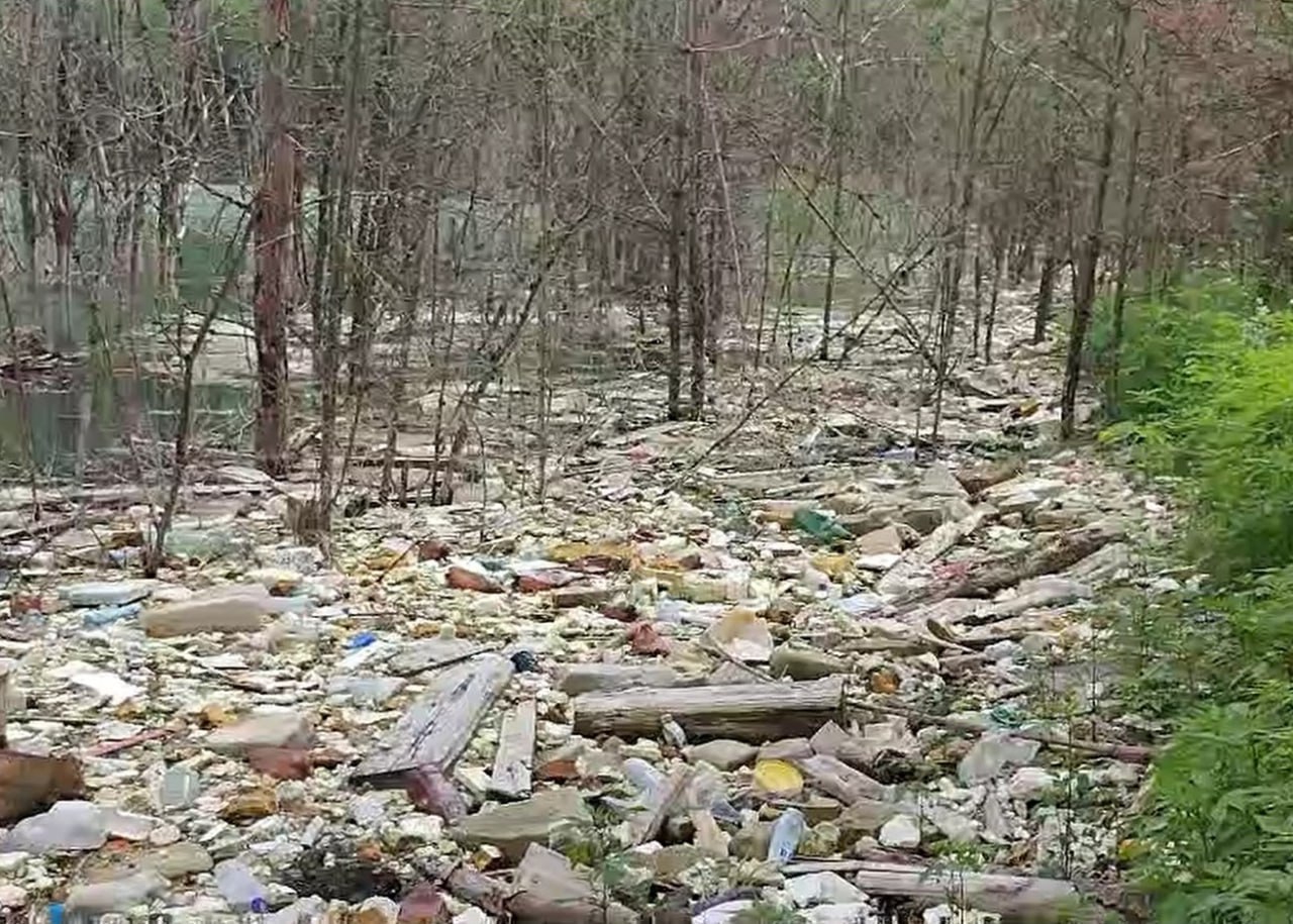 ЖКХ и природоохранные службы не обращали внимание на проблему: только после вмешательства Госконтроля на карьере под Гродно начали убирать мусор