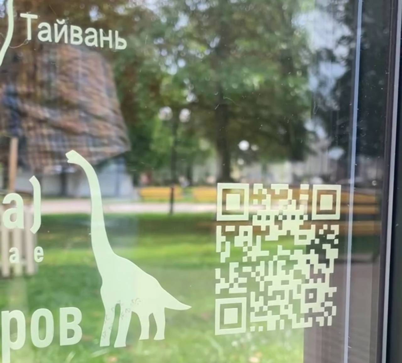 В парке Жилибера в Гродно появилась необычная информационная табличка рядом с уникальным реликтовым деревом